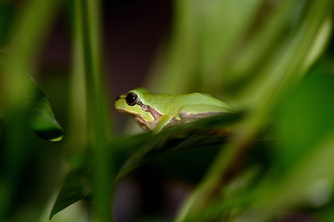 Similar image 8307235