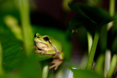 Similar image 8307236