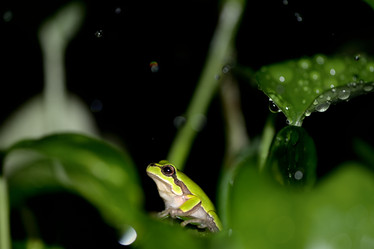 Similar image 8307243