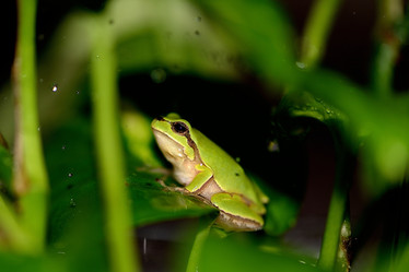 Similar image 8307244