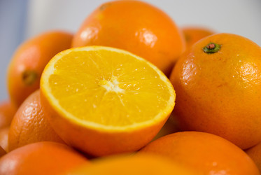 Similar image 8307350