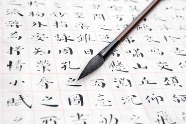 Similar image 8307362