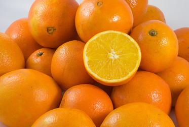 Similar image 8307364