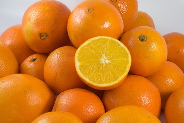 Similar image 8307365