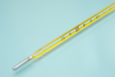 Similar image 8307520