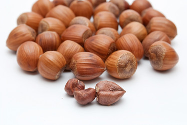 Similar image 8307644