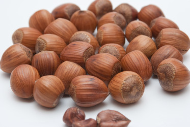 Similar image 8307646