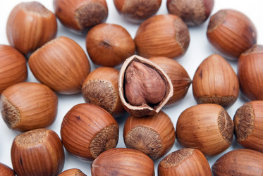 Similar image 8307649