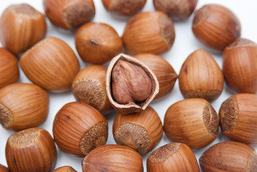 Similar image 8307652