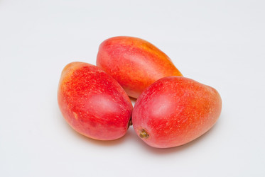 Similar image 8307756