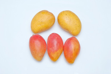 Similar image 8307760