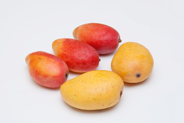 Similar image 8307761