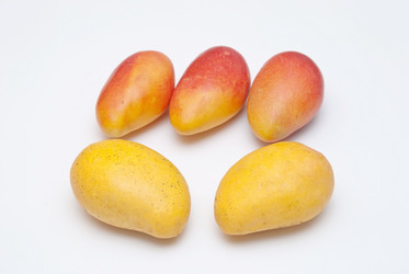 Similar image 8307762