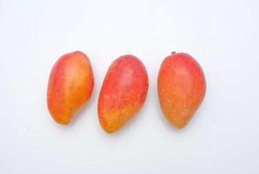 Similar image 8307763