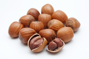 Similar image 8307769