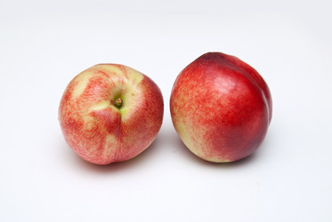 Similar image 8307838