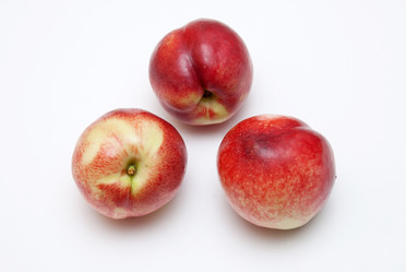 Similar image 8307858