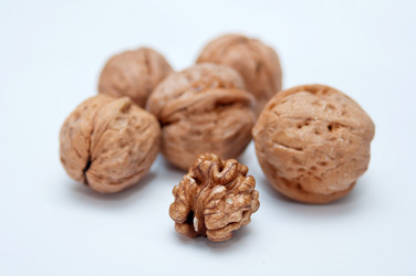 Similar image 8307859