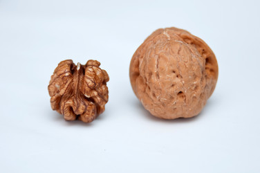 Similar image 8307860