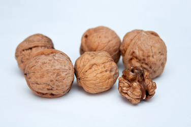 Similar image 8307861