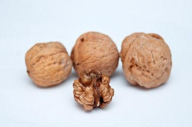 Similar image 8307862