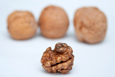 Similar image 8307863