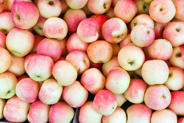 Similar image 8307873