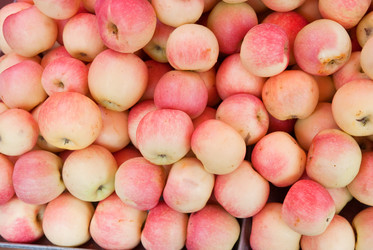 Similar image 8307874