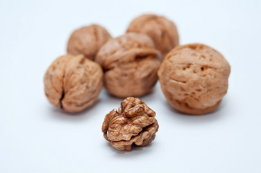 Similar image 8307875