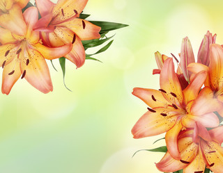 Similar image 8308031