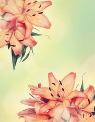 Similar image 8308032