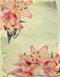 Similar image 8308033