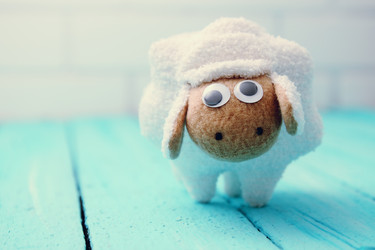 Similar image 8308046