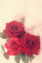 Similar image 8308059