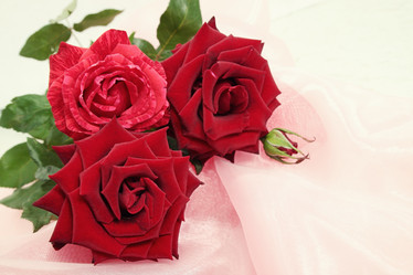 Similar image 8308060