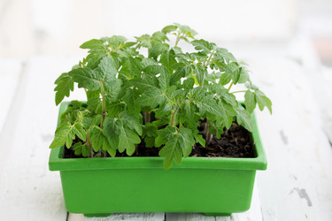 Similar image 8308065