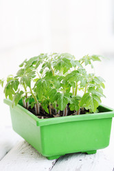 Similar image 8308071