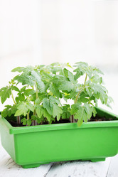 Similar image 8308081