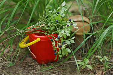 Similar image 8308089