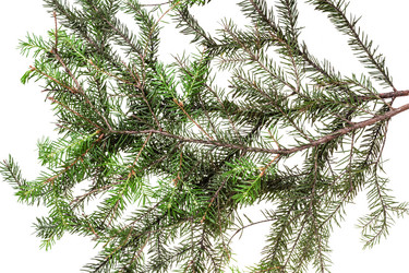 Similar image 8308104