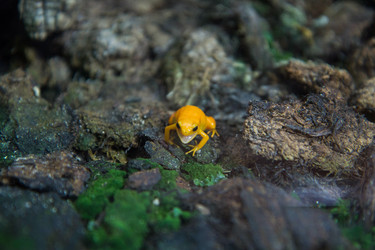 Similar image 8308201