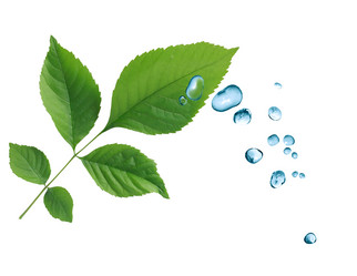 Similar image 8308206