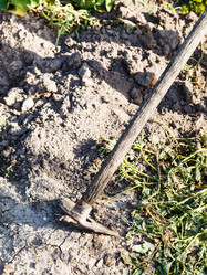 Similar image 8308213