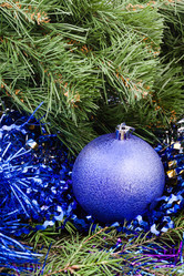 Similar image 8308218