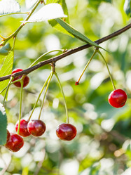 Similar image 8308219