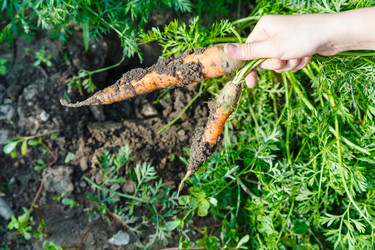 Similar image 8308227