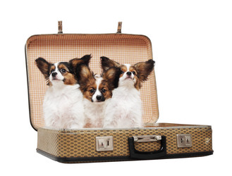 Similar image 8308333