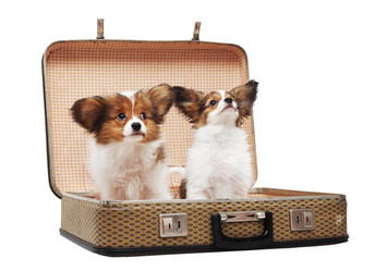 Similar image 8308334