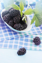 Similar image 8308342