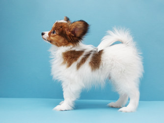 Similar image 8308346